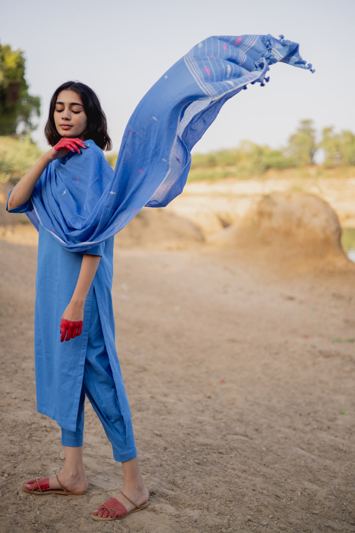 Blue Kurta with Clinched pants
