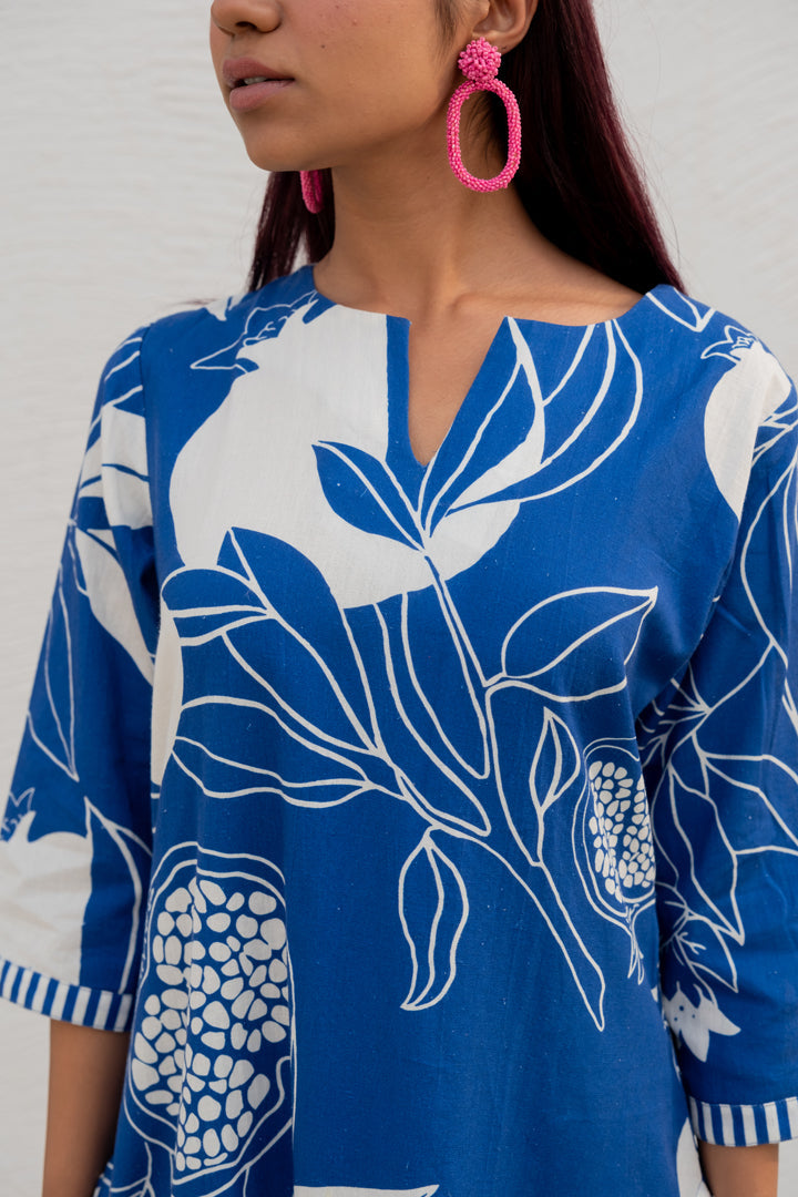 Blue Anaar Kurta and Pants Co-Ord