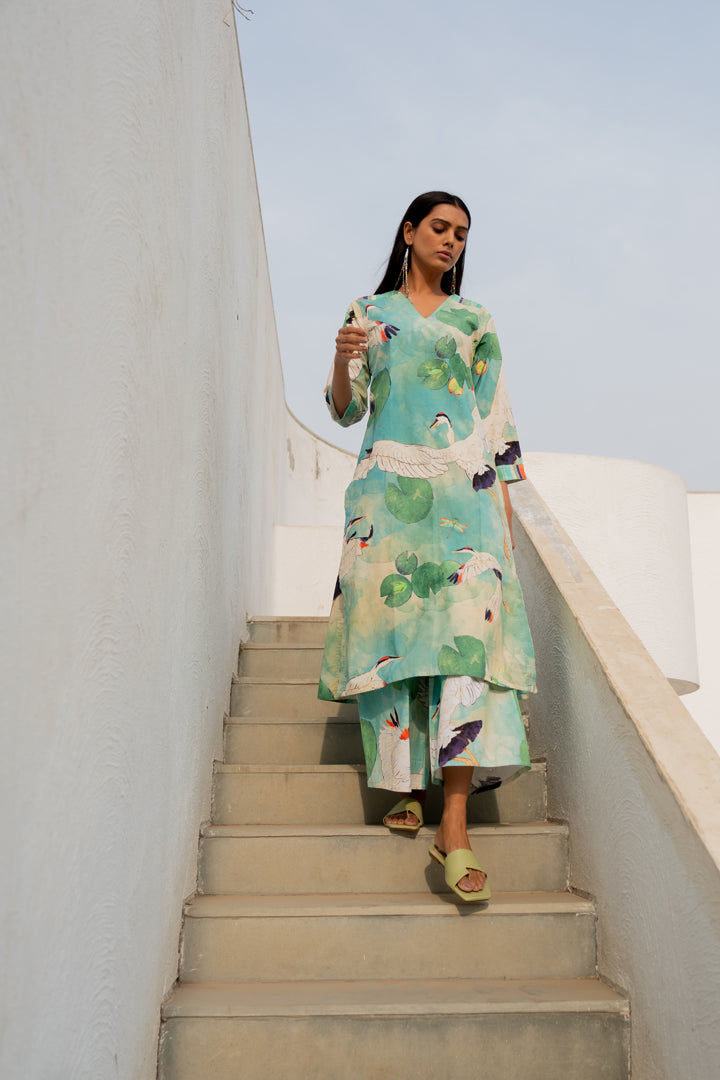 Birds Eye View Kurta