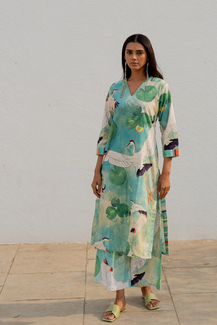 Birds Eye View Kurta