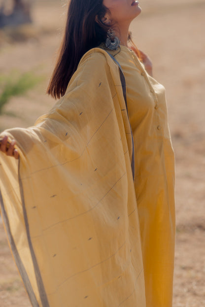 Ochre Jaamdani Dupatta