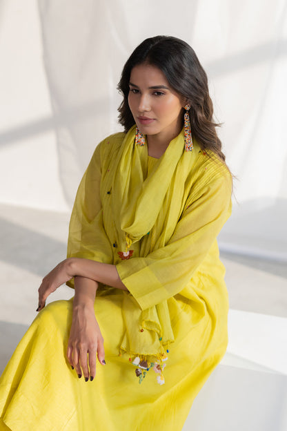 Zesty Lime Stole